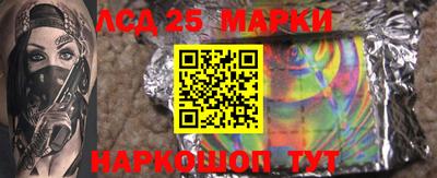 гидропоника Рязань