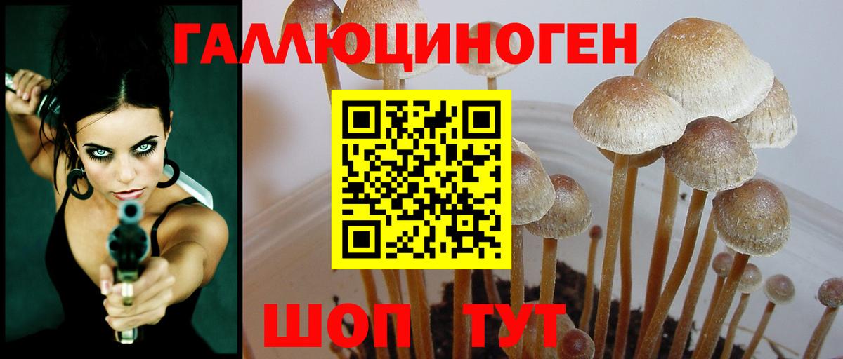 Галлюциногенные грибы Magic Shrooms Рыбинск